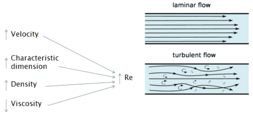 When the Reynolds number reaches a critical value, the boundary layer transitions from laminar to turbulent. CREDIT: www.empoweringpumps.com