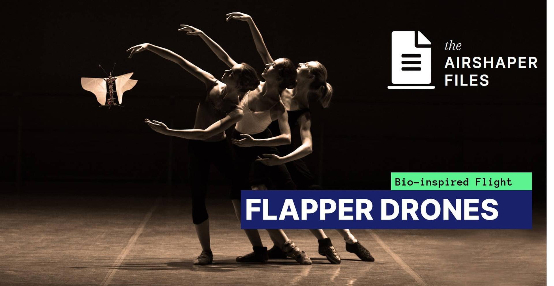 Flapper Drones - Bio-inspired Flight