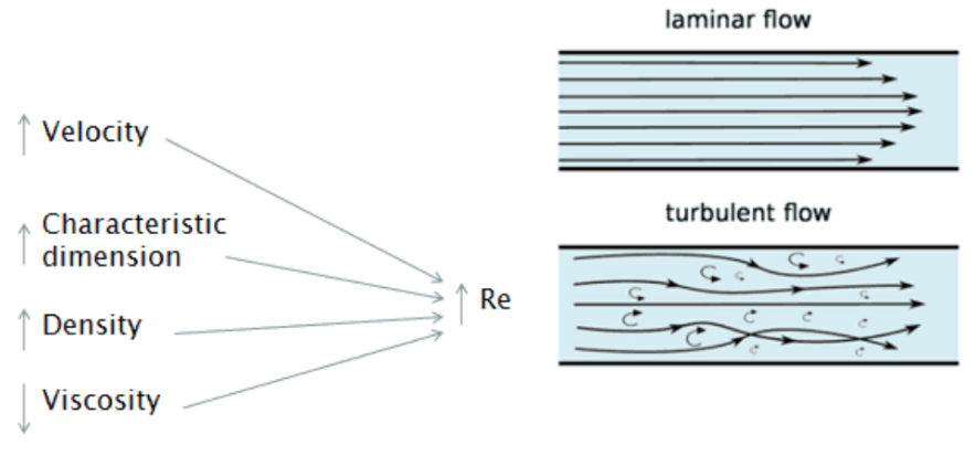 Boundary Layer Examples